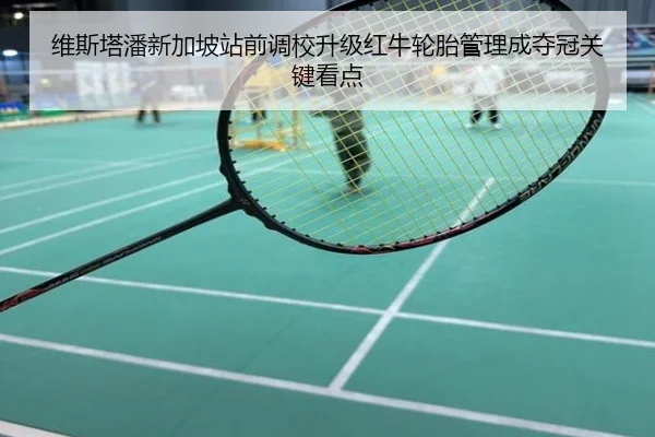 维斯塔潘新加坡站前调校升级红牛轮胎管理成夺冠关键看点