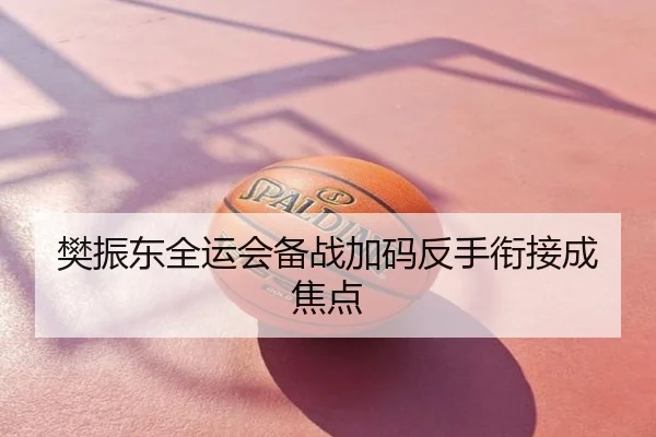 樊振东全运会备战加码反手衔接成焦点